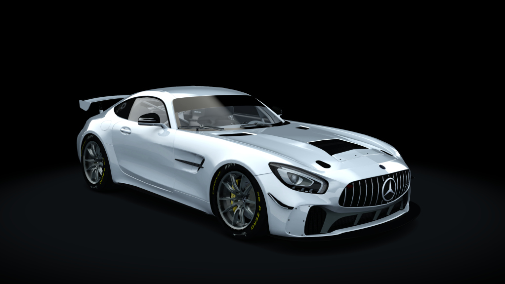 AMG GT4 Endurance Preview Image