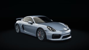 Porsche Cayman GT4, skin 08_rhodium_silver_metallic