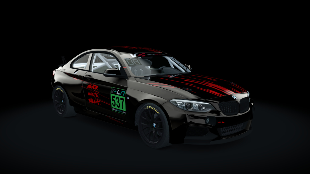 BMW M240i Cup VRLN, skin VRLNIII_537_PJ